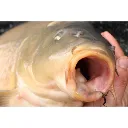 Korda Anzuelo Mixa 2.webp
