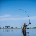 AVID CARP REVOLVE RODS 10′ 3.5LBRS A0460043