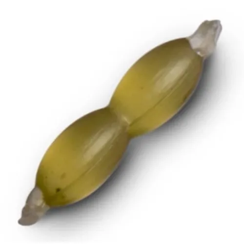 nash generica.webp