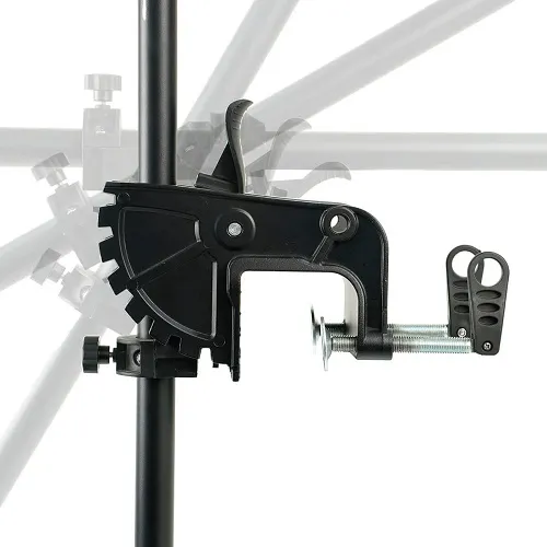 raptor.webp