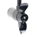 raptor.webp