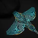 Kumu Take Flight Hoodie Size L.webp