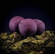 MASSIVE BAITS BOILIES DEADLY SQUID 14 MM LE001