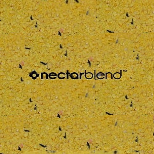 MASSIVE BAITS NECTARBLEND 1KG HS005