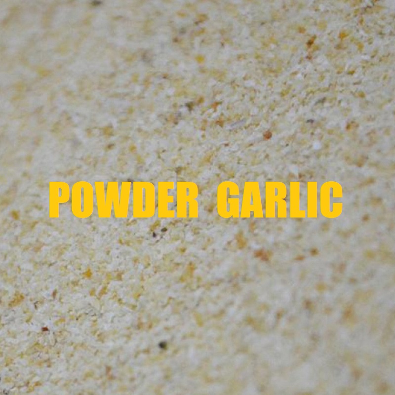 MASSIVE BAITS POWDER GARLIC 500 gr KP062