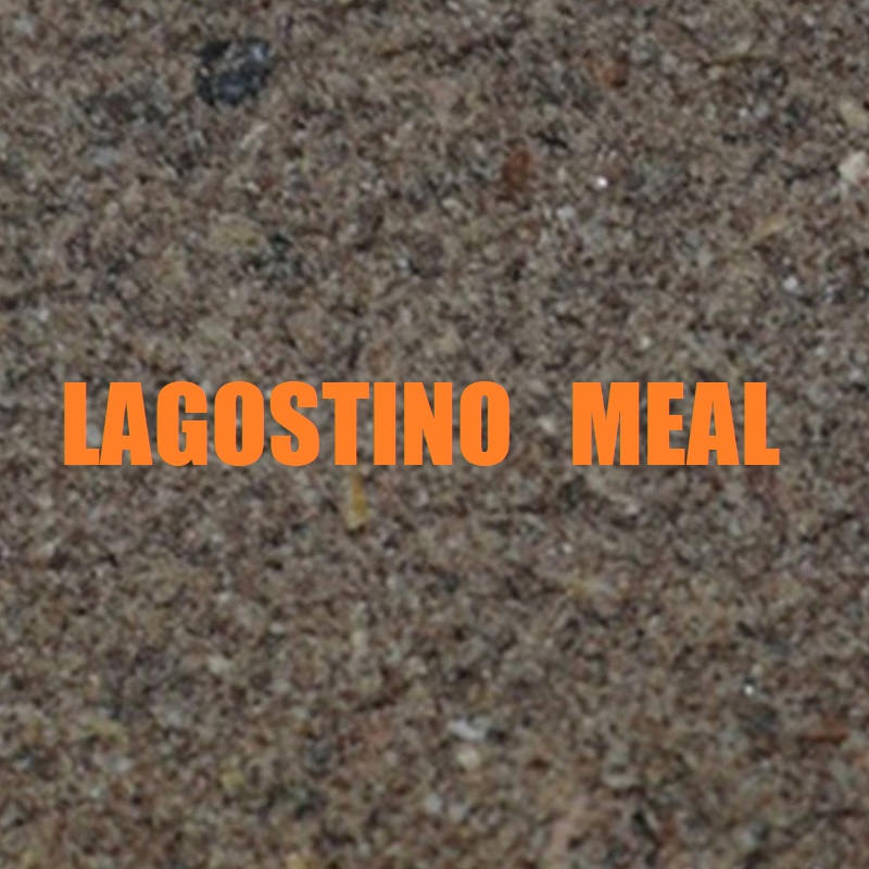 MASSIVE BAITS LANGOSTINO 1Kg KP007