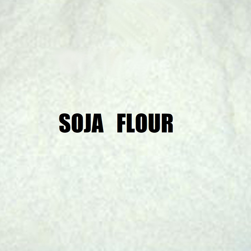 MASSIVE BAITS SOJA FLOUR 1Kg KP042