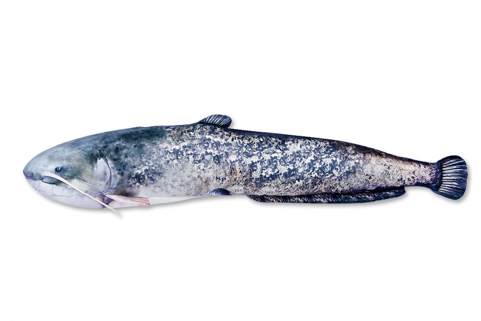 [GP-175167] Gaby Plyov Ryba Sumec 115 Cm GP 175167