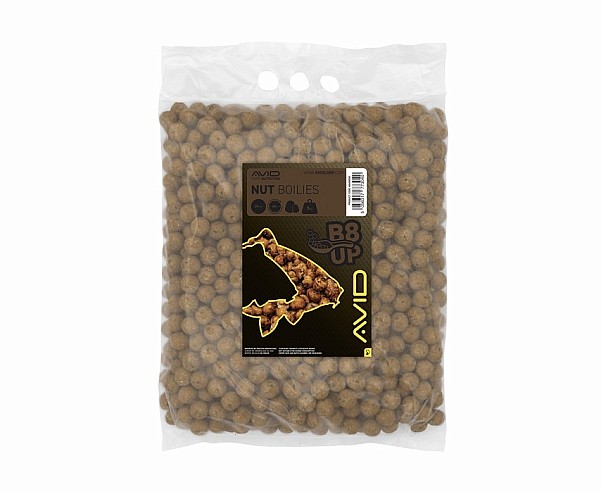 AVID BOILIES NUT B8 UP 20MM 24H 5KG A0650038