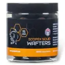 Nash Bait Wafters Scopex Squid 15mm