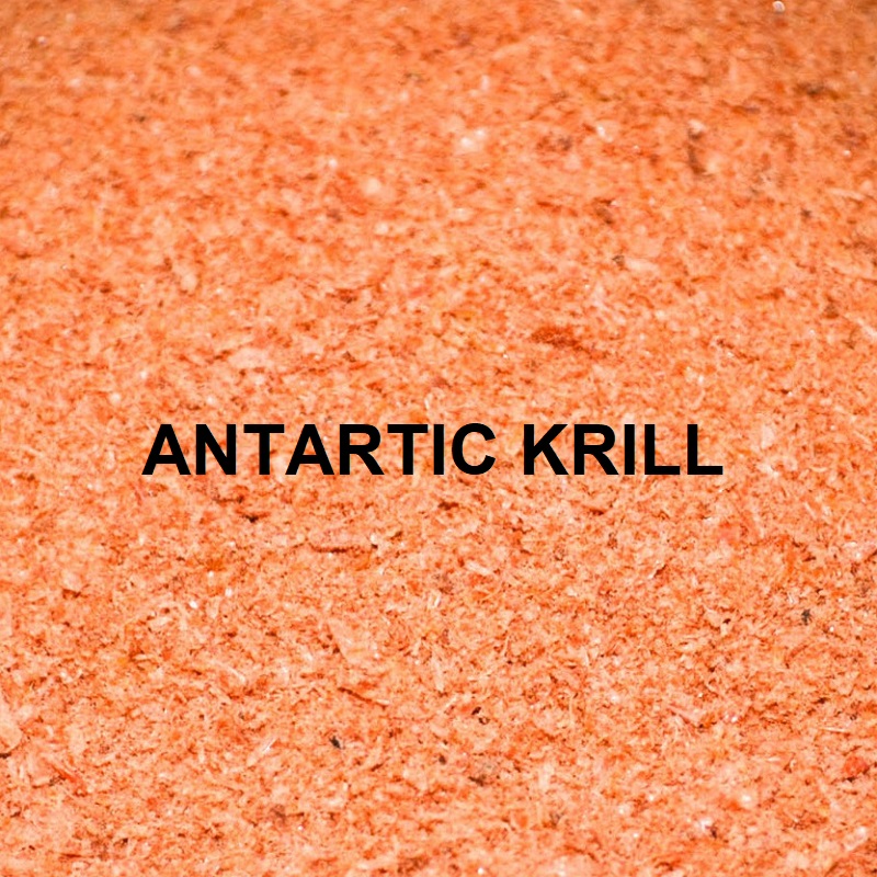 [KP002] MASSIVE BAITS ARCTIC KRILL MEAL 1 KG KP002