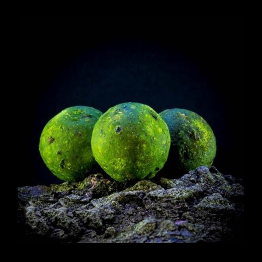 MASSIVE BAITS BOILIES GREEN MULBERRY 14 MM TS055
