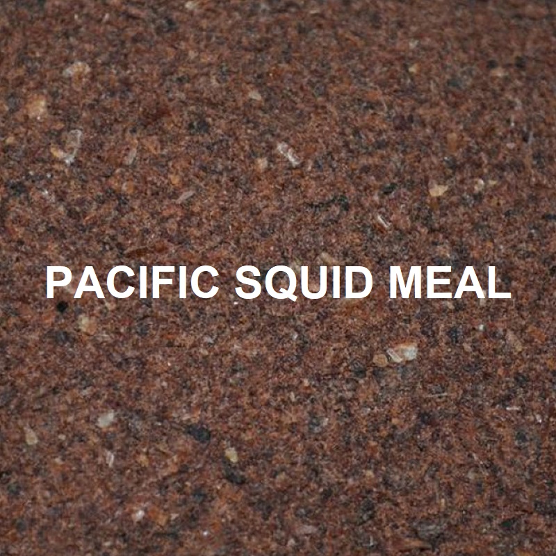 [KP001] MASSIVE BAITS PACIFIC SQUID MEAL 1KG KP001