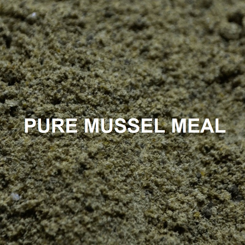 MASSIVE BAITS PURE MUSSEL MEAL 1 Kg KP101