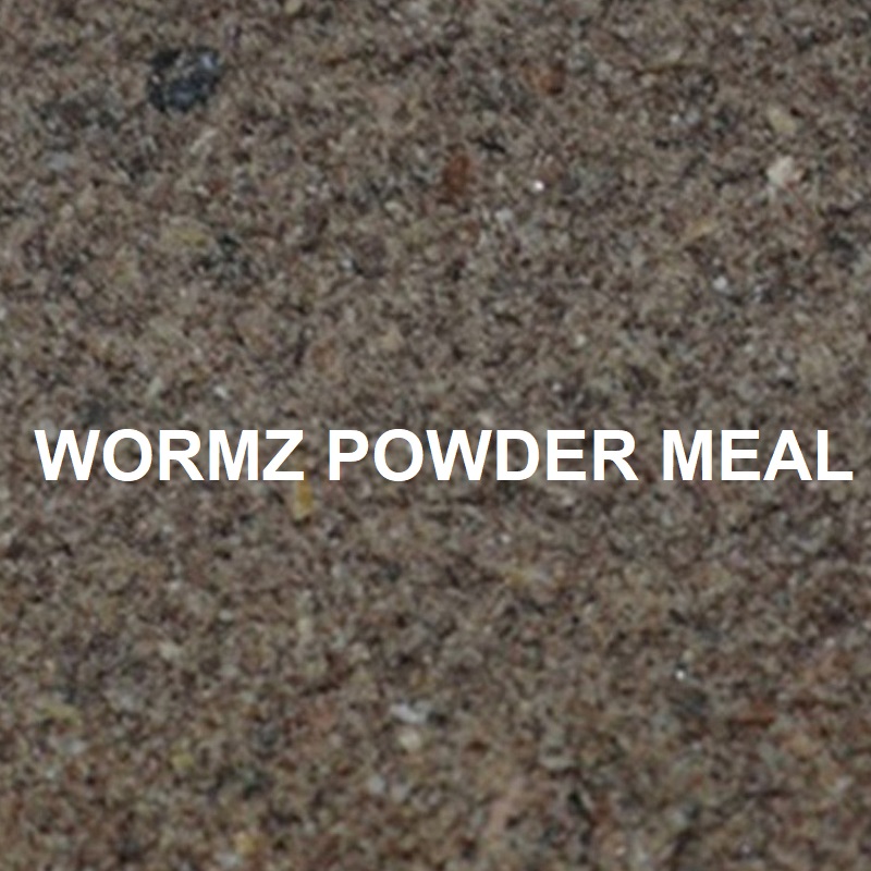 MASSIVE BAITS WORMZ POWDER MEAL 1 Kg KP009